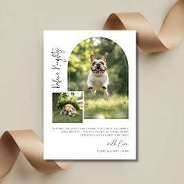 Cartão De Festividades Arch Photo Define Naughn Funny Dog Christmas