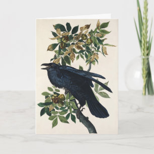 Cartão De Festividades Arte da Natureza do Corvo de Audubon Vintage