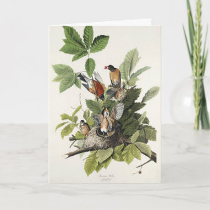 Cartão De Festividades Arte de ninho de pássaro do antigo Robin Americano