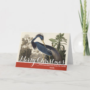 Cartão De Festividades Arte de Pássaro da Garça da Louisiana de Audubon A