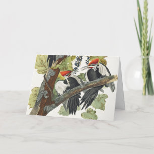 Cartão De Festividades Arte de Pássaro Vintage Audubon Pica-Pau-de-Topo-V
