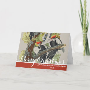 Cartão De Festividades Arte de Pássaro Vintage Audubon Pica-Pau-de-Topo-V