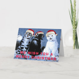 Cartão De Festividades Arte do coro dos gatos do papai noel do Natal de