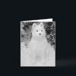 Cartão De Festividades arte engraçada da fotografia do Natal do boneco de<br><div class="desc">Este boneco de neve de vista engraçado de akita da neve foi construído imediatamente depois do Natal na neve grossa de dezembro. A neve akita tem uma expressão engraçada em sua cara, mas… Eu penso que qualquer um olharia como faz se se têm sentado na neve fria por horas. Esta...</div>
