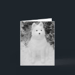Cartão De Festividades arte engraçada da fotografia do Natal do boneco de<br><div class="desc">Este boneco de neve de vista engraçado de akita da neve foi construído imediatamente depois do Natal na neve grossa de dezembro. A neve akita tem uma expressão engraçada em sua cara, mas… Eu penso que qualquer um olharia como faz se se têm sentado na neve fria por horas. Esta...</div>