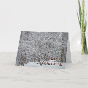 Cartão De Festividades Árvore de Dogwood de Natal em Neve