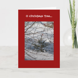 Cartão De Festividades Árvore de Natal