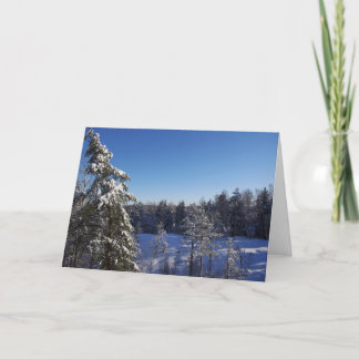 Cartão De Festividades Árvores De Neve De Natal Cobertas Na Floresta De I