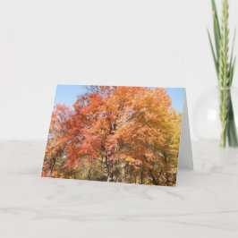 Cartão De Festividades Árvores Laranja