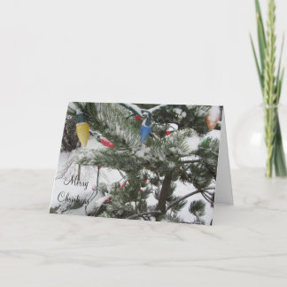 Cartão De Festividades Árvores Nevadas com Luzes de Natal