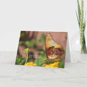 Cartão De Festividades Asas borboletas - Butterflys & Dolphins