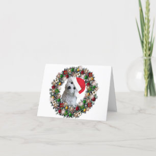 Cartão De Festividades At Christmas - Bichon Frise