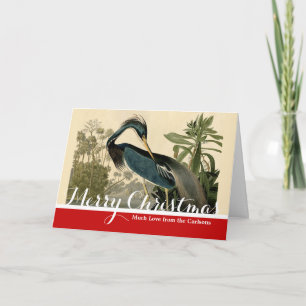 Cartão De Festividades Audubon Louisiana Heron Birds América Art