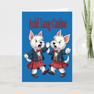 Cartão De Festividades Auld Lang Canine West Highland Terrier Ceilidh