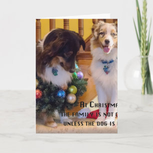 Cartão De Festividades Aussies do Feliz Natal