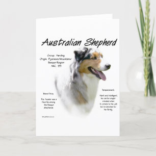 Cartão De Festividades Australian Shepherd History Design