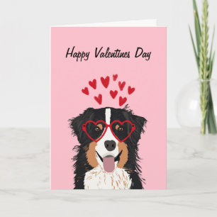 Cartão De Festividades Australian Shepherd - tri colored valentines love