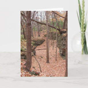 Cartão De Festividades Autumn ~ Blank Card