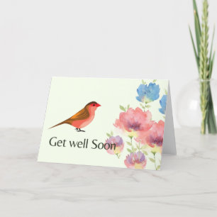 Cartão De Festividades ave colorida
