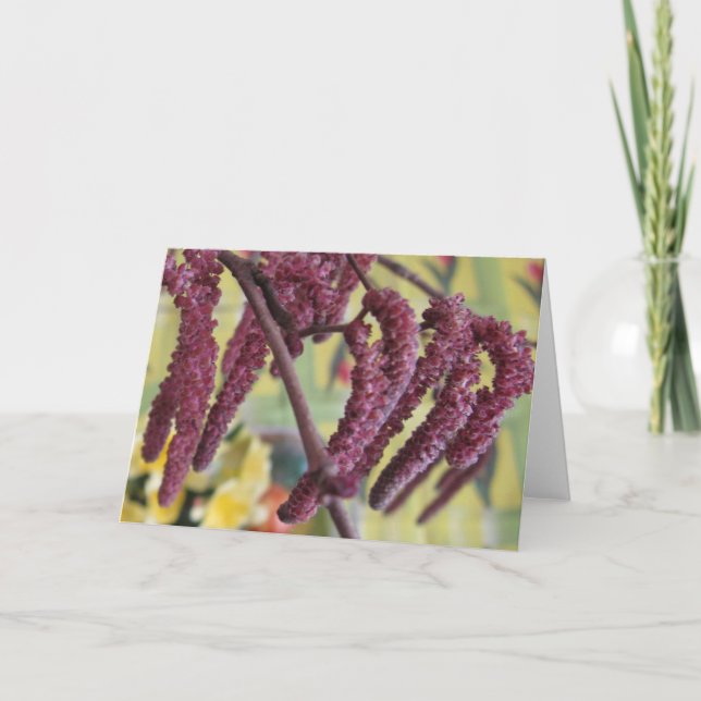 Cartão De Festividades Avelãs roxas em Primavera (Frente)