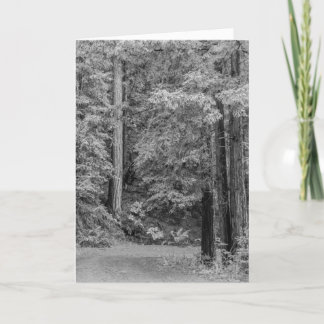 Cartão De Festividades Aventuras de feliz