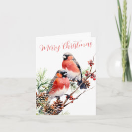 Cartão De Festividades Aves de Natal Red Bullfinch Berries & Pine Cones