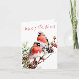 Cartão De Festividades Aves de Natal Red Bullfinch Berries & Pine Cones