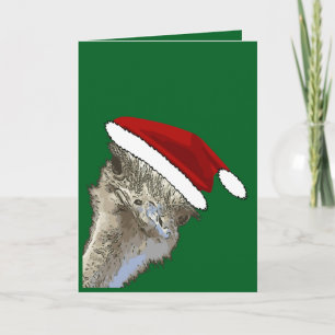 Cartão De Festividades Avestruz Usando Chapéu de Papai Noel Animal de Zoo