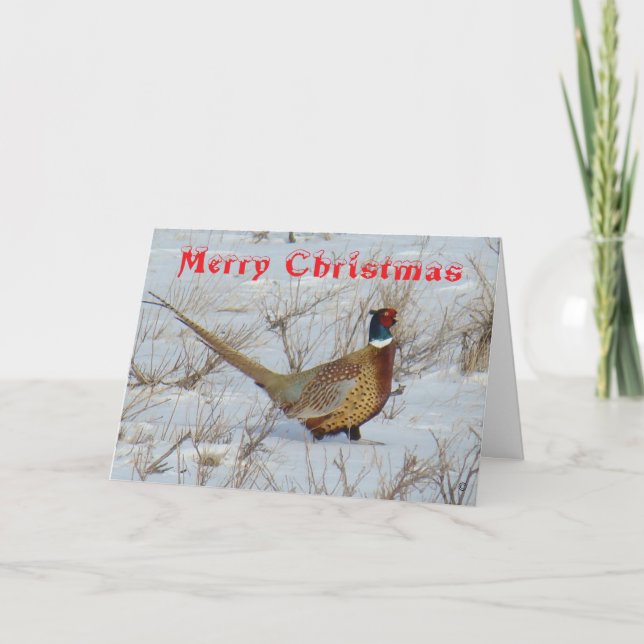 Cartão De Festividades B22 Ring-Necked Pheasant in Snow Christmas Card (Frente)