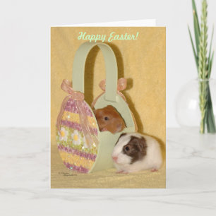 Cartão De Festividades Baby guinea pigs Happy Easter Card