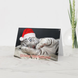 Cartão De Festividades baby white bengal tiger with christmas hat
