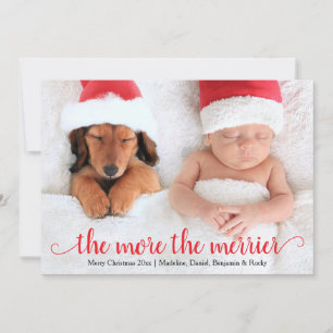 Cartão De Festividades Baby's 1st Christmas Holiday Photo Card
