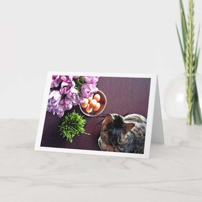 Cartão De Festividades Bacia de ovos. Instantâneo 1 (Frente)