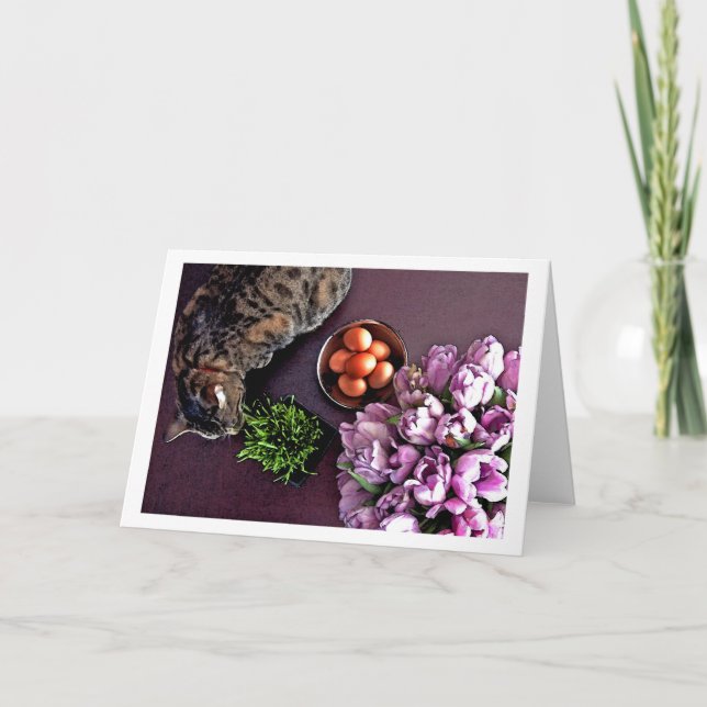 Cartão De Festividades Bacia de ovos. Instantâneo 5 (Frente)