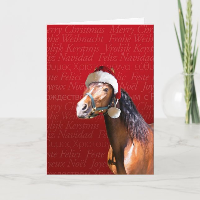 Cartão De Festividades Baía do feriado (Frente)