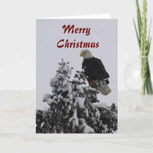 Cartão De Festividades Bald Eagle Greeting Card