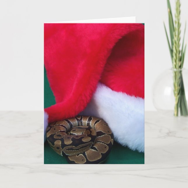Cartão De Festividades Ball Python perto de Santa Hat, cobra Natal (Frente)