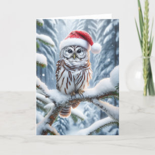 CARTÃO DE FESTIVIDADES BARRED OWL CHRISTMAS