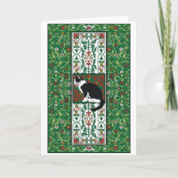 Barroco Tuxedo Cat