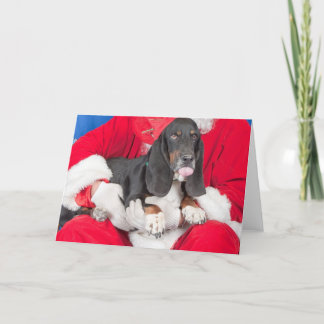 Cartão De Festividades Basset que cola a língua para fora no regaço do