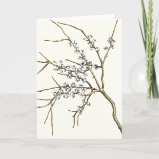 Cartão De Festividades Bayberry