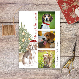 Cartão De Festividades Beagle Christmas Tree Pet Dog Photo