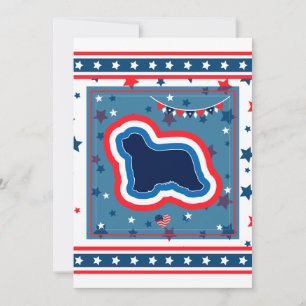 Cartão De Festividades Bearded Collie Patriótico Vermelho Branco Azul 4 d