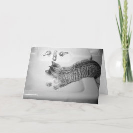 Cartão De Festividades Bebendo de Gato de um Retro de Faucet do Dissipado