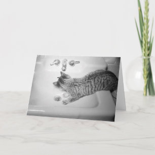 Cartão De Festividades Bebendo de Gato de um Retro de Faucet do Dissipado