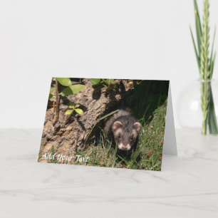 Cartão De Festividades Bebês de pele. Liberar Furões