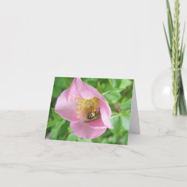Cartão De Festividades Beefly in Rosa Note Card (Frente)