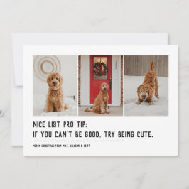 Cartão De Festividades Bela lista de animais engraçados três fotos preto