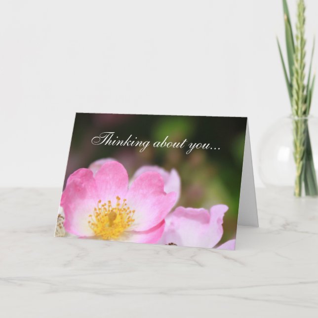 Cartão De Festividades belas flores rosa-rosa-rosa, pensando em você (Frente)