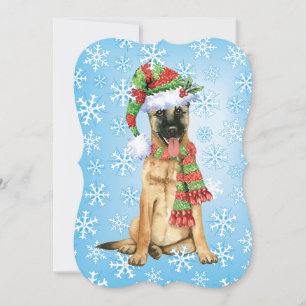 Cartão De Festividades Belga feliz Malinois de Howlidays